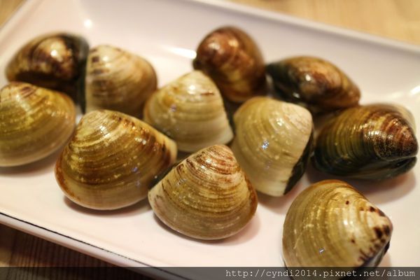 IMG_0541.JPG IMG_0541.JPG