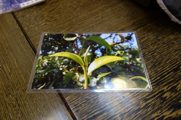 cm20140119___129ea91ea986d4d4da6348ffb27