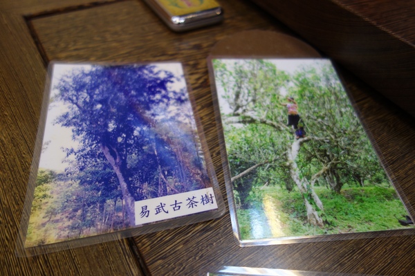 cm20140119___9d698a4bea0865729eb9a8c2ff3