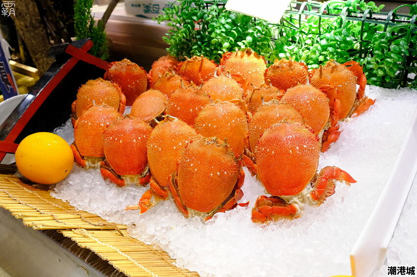 上百道海鮮料理吃到飽,潮港城太陽百匯,鮪魚祭鮪魚鮭魚秀好吸睛!