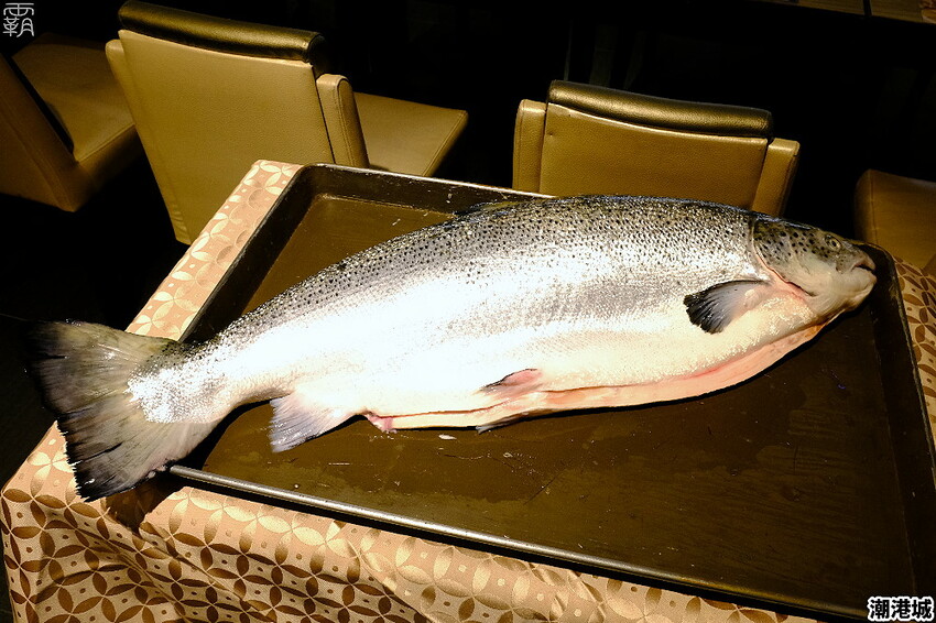 上百道海鮮料理吃到飽,潮港城太陽百匯,鮪魚祭鮪魚鮭魚秀好吸睛!