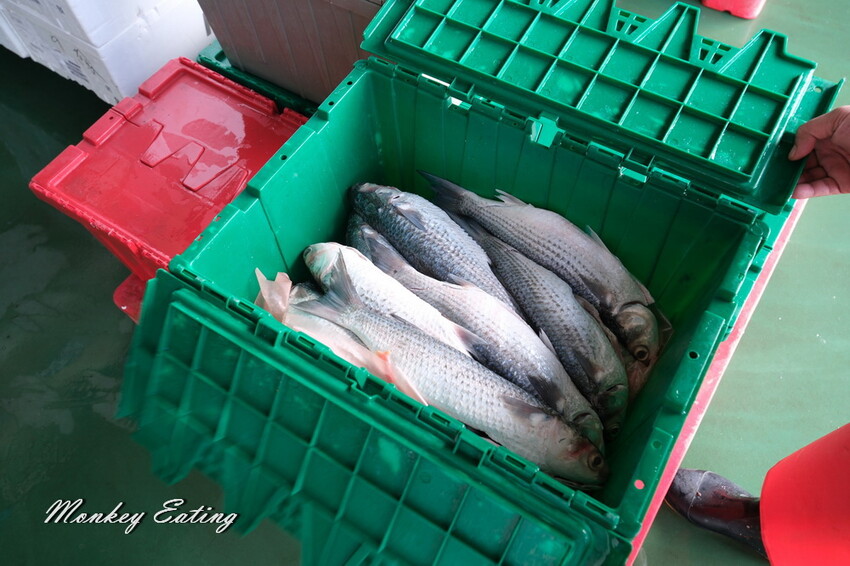 台中潮港城太陽百匯│台中吃到飽始祖！免千元高CP值buffet，破百道料理、超狂海鮮直送任你吃。台中聚餐推薦。四人同行送巨無霸檸檬泰國蝦 - 貪吃猴的幻想