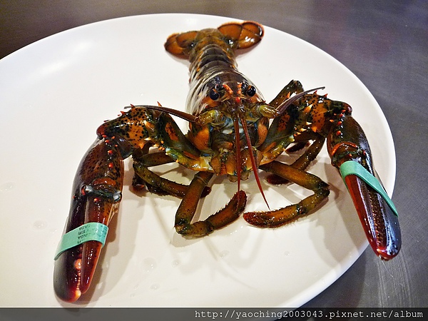 P1350301.jpg P1350301.jpg