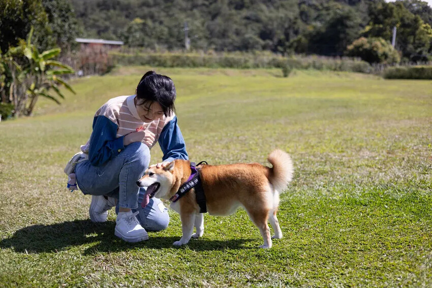 LINE_ALBUM_20250228-0301@南投日月潭(阿北)_250302_11.jpg LINE_ALBUM_20250228-0301@南投日月潭(阿北)_250302_11.jpg