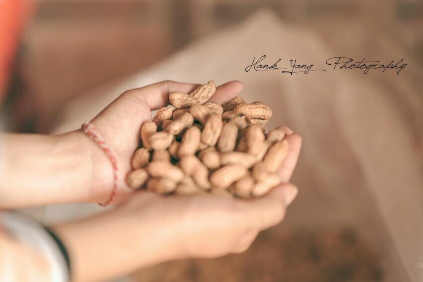 金門縣金城鎮【2024金門美食】推薦必吃金門18個美食、在地人都推薦的名產小吃、伴手禮必買攻略《早午餐、海鮮、美食餐廳