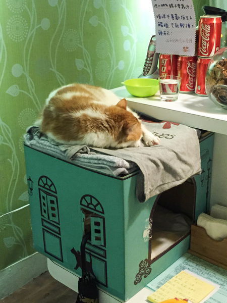 Sam咖啡 - 拉花愛好者務必一訪