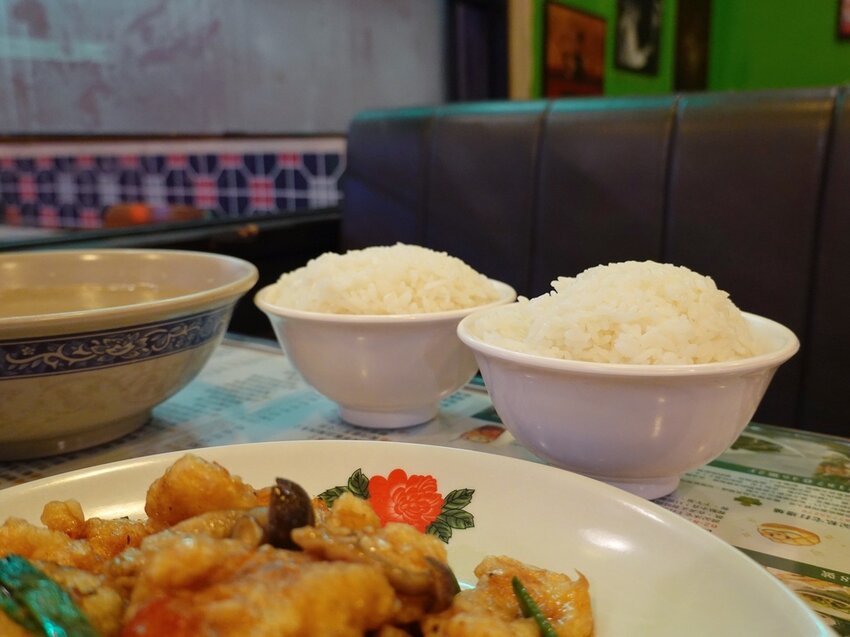 台北大安—波記茶餐廳｜將十九年的港式依戀 化作舌尖上的色香味｜東區、延吉街、國父紀念館、忠孝敦化站