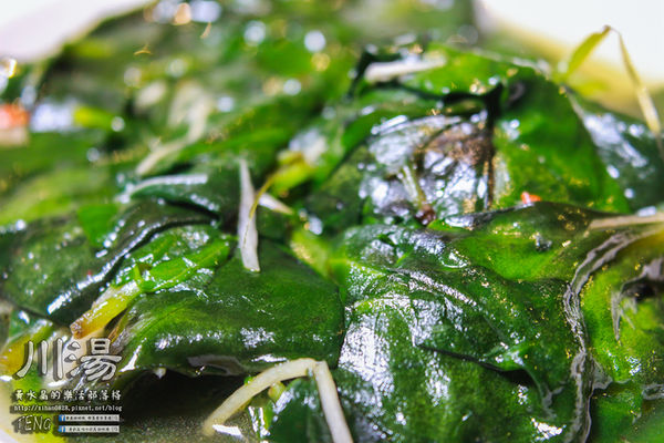 川湯溫泉會館(紗帽山)|台北市/北投區(紗帽山大眾露天湯池，富饒日本味老字號溫泉會館)