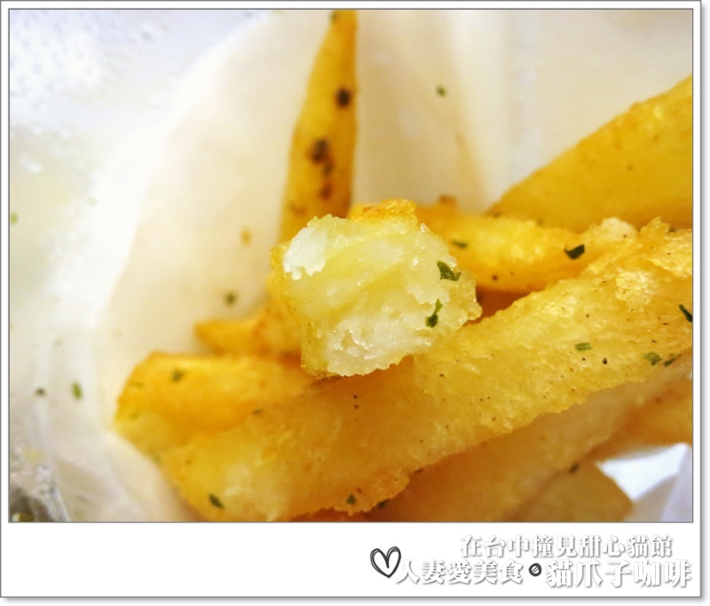 丫頭食記_台中美食_在台中撞見甜心貓餐廳_貓爪子咖啡_玩貓吃東西聊八卦的好地方!!