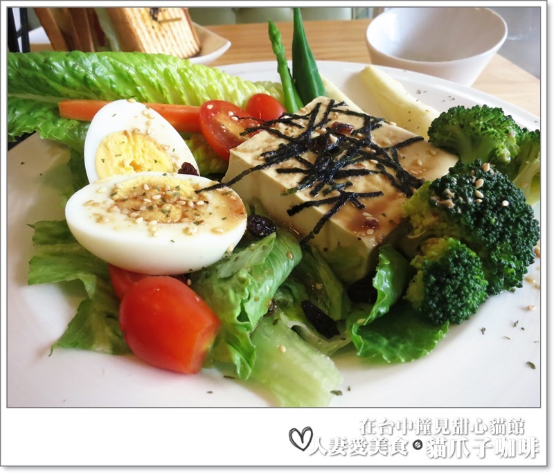 丫頭食記_台中美食_在台中撞見甜心貓餐廳_貓爪子咖啡_玩貓吃東西聊八卦的好地方!!