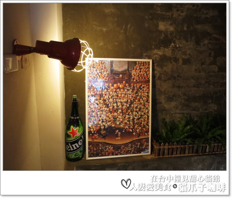 丫頭食記_台中美食_在台中撞見甜心貓餐廳_貓爪子咖啡_玩貓吃東西聊八卦的好地方!!