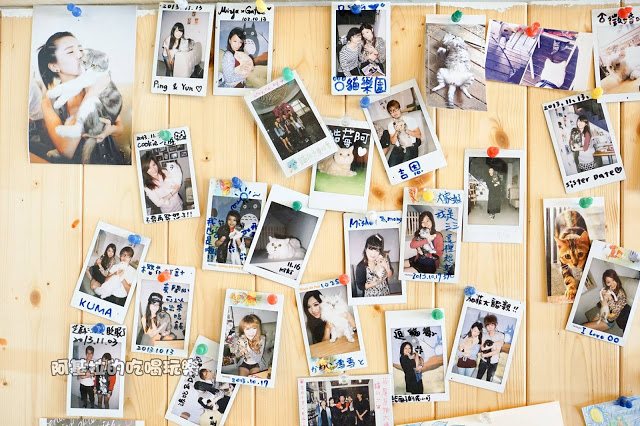 台中市｜美食｜貓爪子咖啡 Cats Claw  Brunch & Cafe