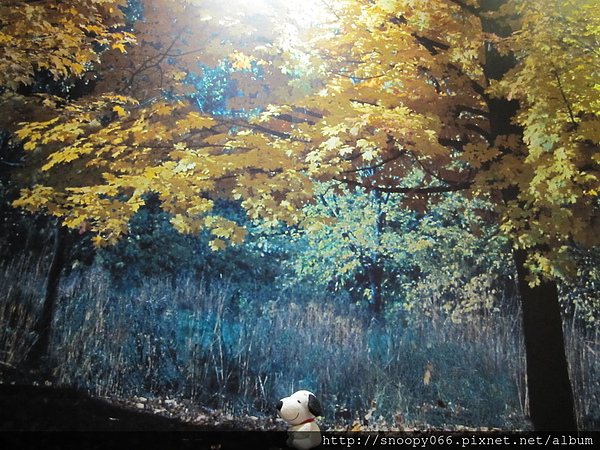 IMG_1251.JPG IMG_1251.JPG