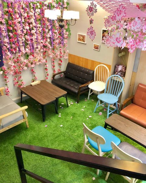 【七見櫻堂】抹茶控必訪-抹茶季開跑