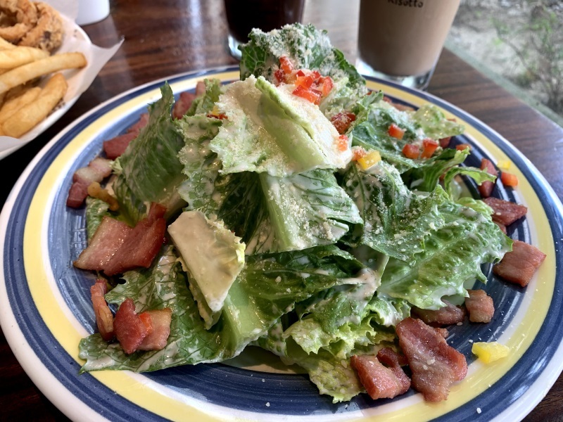 【桃園美食】墨尼尼義大利餐廳 桃園國際店 大份量餐點 氣氛佳適合家庭朋友聚餐 免費停車場 寵物友善餐廳（詳細菜單價目表、壽星優惠）