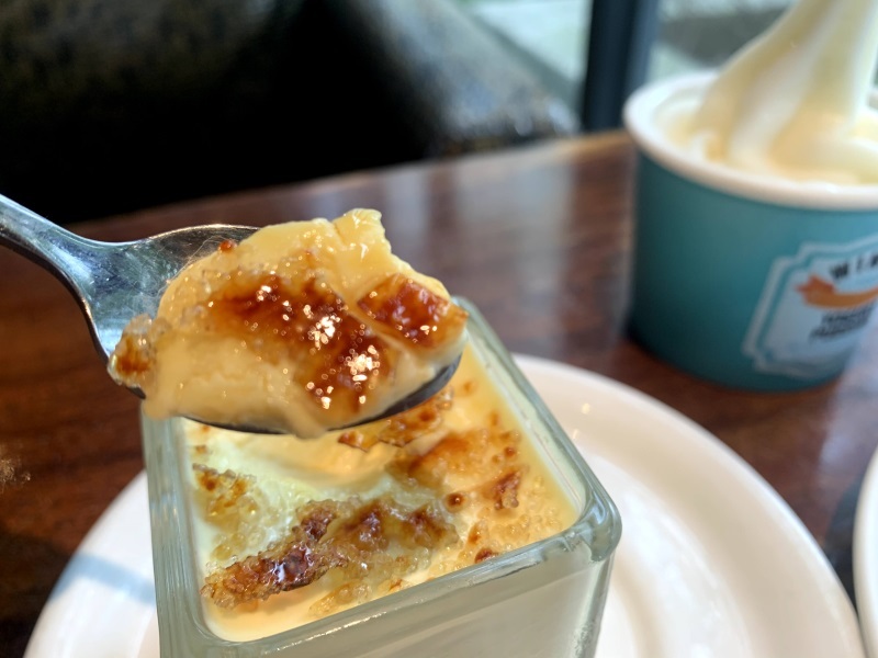 【桃園美食】墨尼尼義大利餐廳 桃園國際店 大份量餐點 氣氛佳適合家庭朋友聚餐 免費停車場 寵物友善餐廳（詳細菜單價目表、壽星優惠）