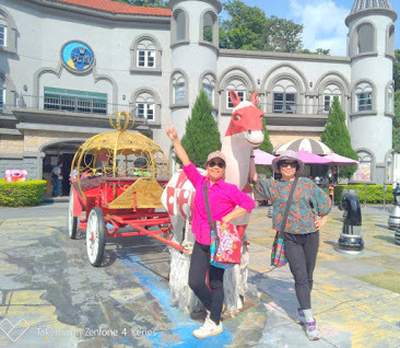 大黑松小倆口-[埔里元首館]好逛、好拍、方便採購