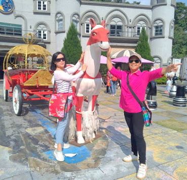 大黑松小倆口-[埔里元首館]好逛、好拍、方便採購