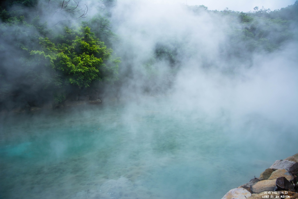 DSC_7071.jpg DSC_7071.jpg