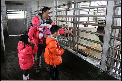 《幸福親子行》宜蘭冬山。花鹿米主題民宿(梅花湖休閒農業區)~親子友善民宿
