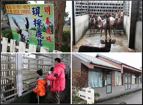 《幸福親子行》宜蘭冬山。花鹿米主題民宿(梅花湖休閒農業區)~親子友善民宿