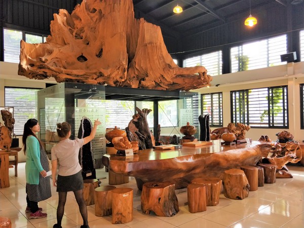 希諾奇台灣檜木博物館：【嘉義市景點】希諾奇台灣檜木博物館～庭園的勇士Ｆｕｚｕ和公主Ｔｅｏｆｓｉ‘ｉａ的幸褔鍾情場景浪漫又好拍