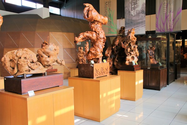 希諾奇台灣檜木博物館：【嘉義市景點】希諾奇台灣檜木博物館～庭園的勇士Ｆｕｚｕ和公主Ｔｅｏｆｓｉ‘ｉａ的幸褔鍾情場景浪漫又好拍