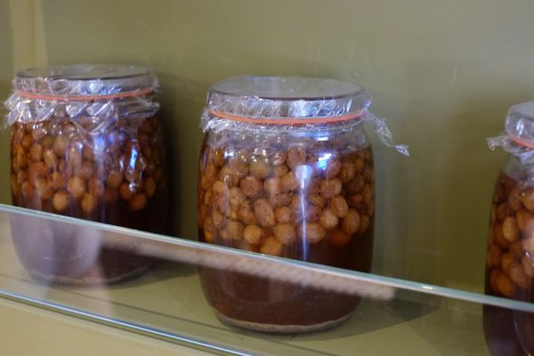 _DSF9380.jpg _DSF9380.jpg