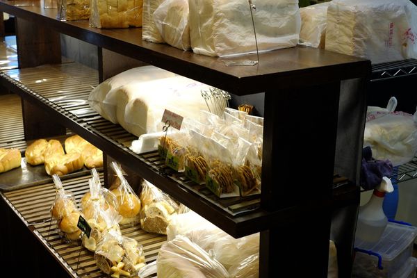 _DSF9379.jpg _DSF9379.jpg