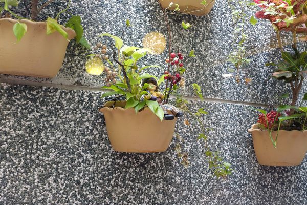 _DSF9356.jpg _DSF9356.jpg