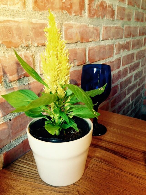 [新竹]Buono Bella~"喜歡一個人"~意大利料理好美味~