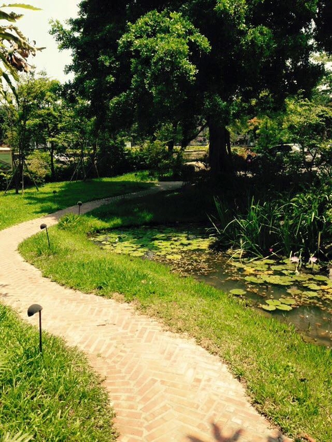 [新竹]Buono Bella~"喜歡一個人"~意大利料理好美味~