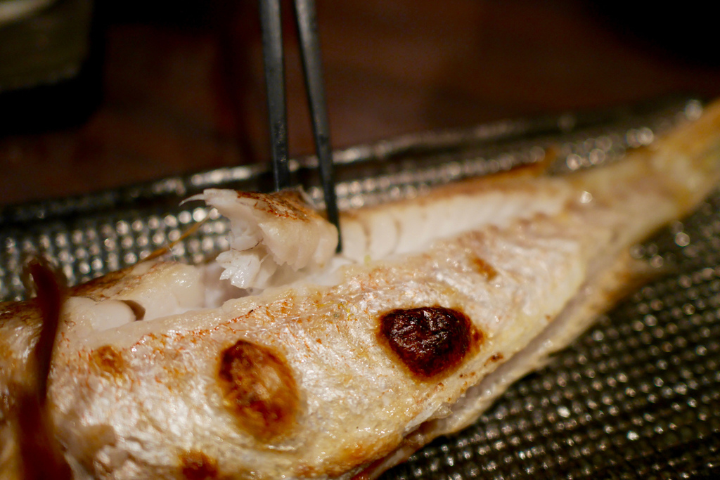 P1140929.jpg P1140929.jpg