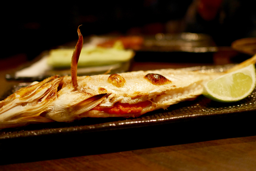 P1140926.jpg P1140926.jpg