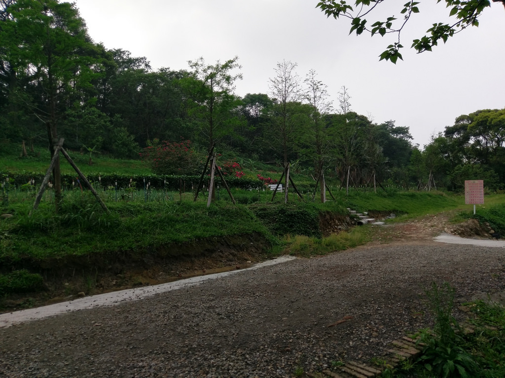 1492303592832 1492303592832