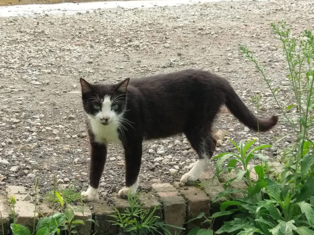 1492303582244 1492303582244