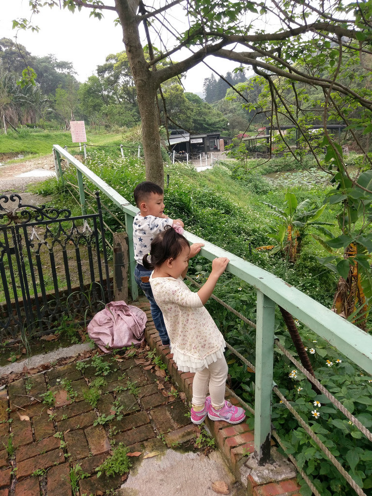 1492303637890 1492303637890