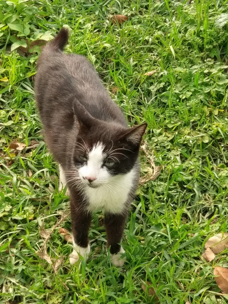 1492303527003 1492303527003