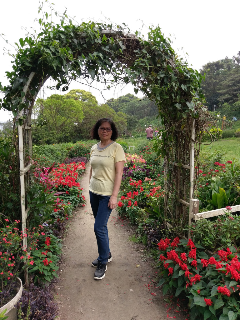 1492303423429 1492303423429