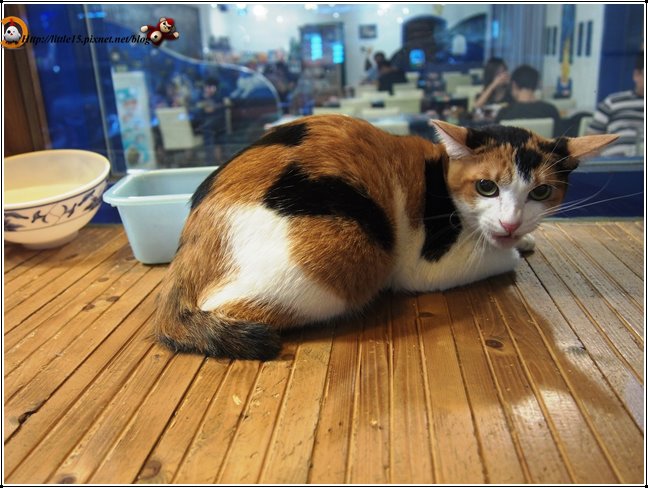 work-108.jpg work-108.jpg