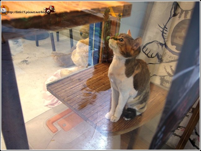 work-109.jpg work-109.jpg