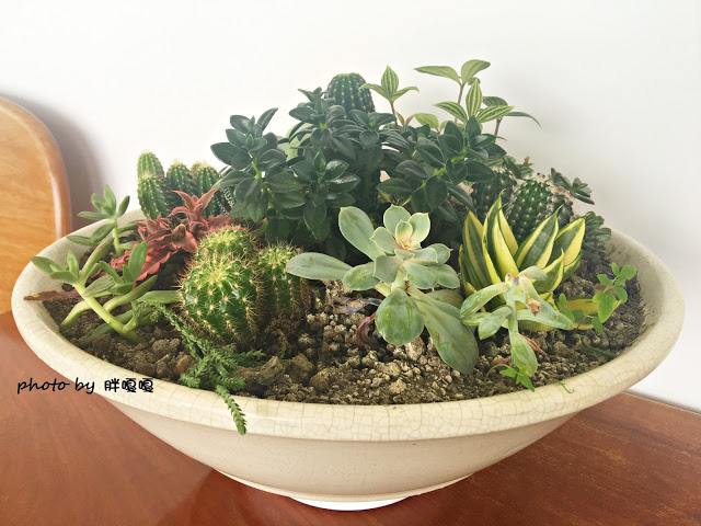 【新竹 竹北】喜木咖啡☕隱身在巷仔內、田野間的特色咖啡廳，環境舒服，餐點也令人留下深刻好印象，用餐有限時哦~