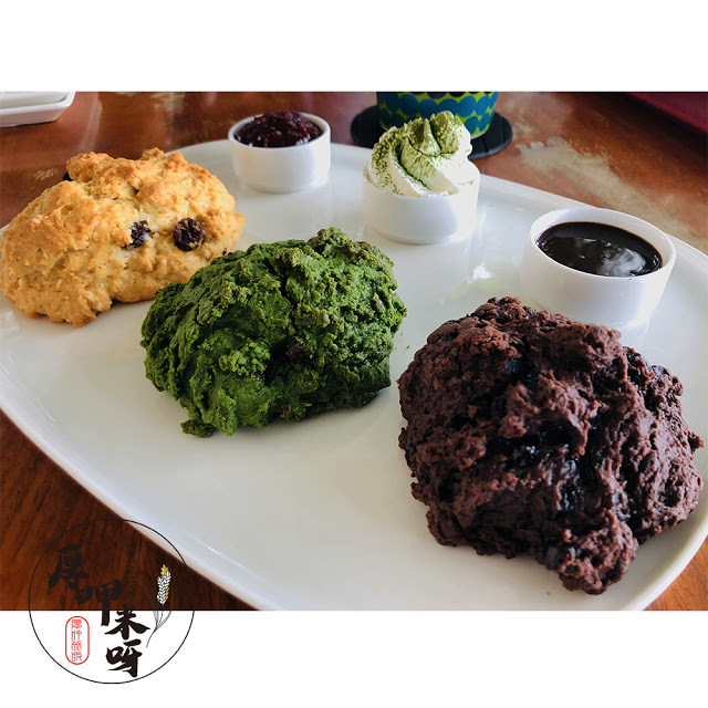 【厚呷米呀│新竹竹北】喜木咖啡 初訪 ㊣巷弄小店/㊣田中央玻璃屋/㊣特色司康好食/三五好友聊天放鬆必約/一不小心就錯過的好店㊣隱藏版咖啡下午茶 (無插座)