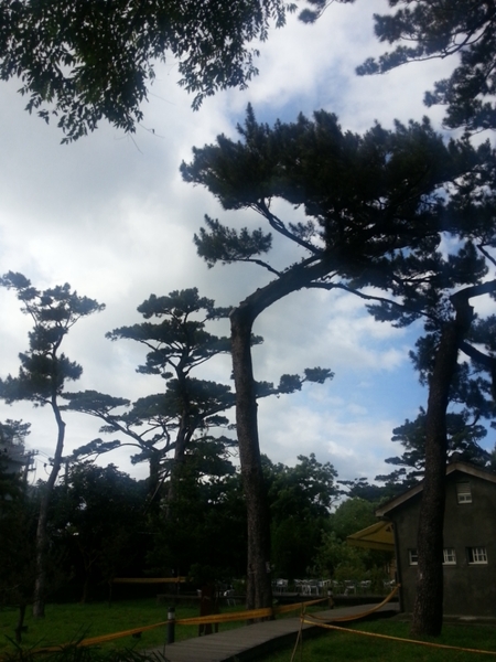 松園別館(Pine Garden)：【花蓮旅遊】2015年6月到松園別館來文藝一下吧!