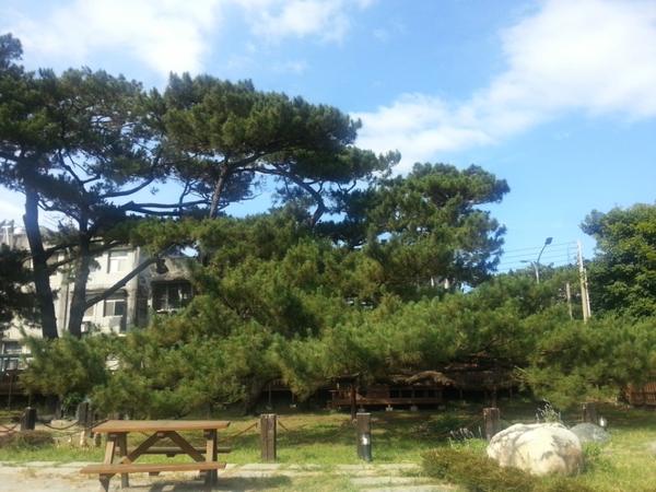 松園別館(Pine Garden)：【花蓮旅遊】2015年6月到松園別館來文藝一下吧!