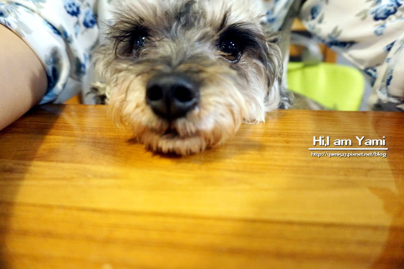 小春日和_1696 小春日和_1696