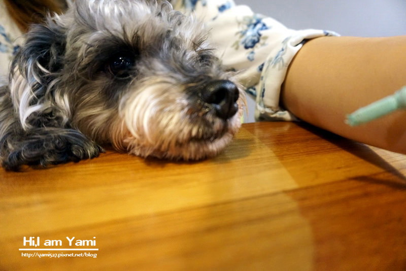 小春日和_5368 小春日和_5368