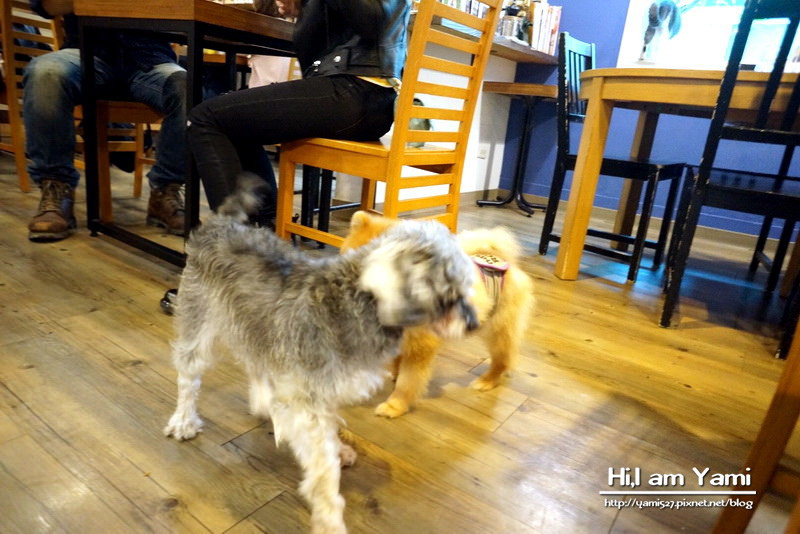 小春日和動物雜貨‧珈琲寵物餐廳 ► 台北 松山區 ◄民生社區必吃貓咪咖啡廳 x 複合式寵物剪毛餐廳有(WIFI/限時兩小時沒客滿不趕人)