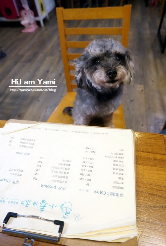 小春日和_8506 小春日和_8506