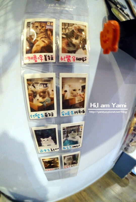 小春日和_8463 小春日和_8463